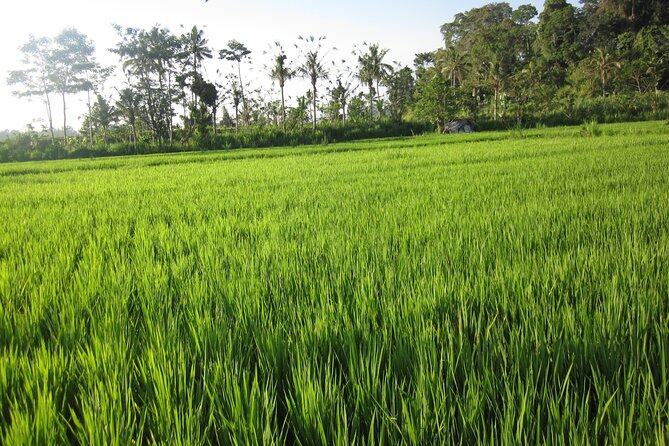 Sidemen Trekking with Cultural Encounters and Nature Views - Pura Dalem Desa Adat Dukuh Sakti: Culture You Can Respect