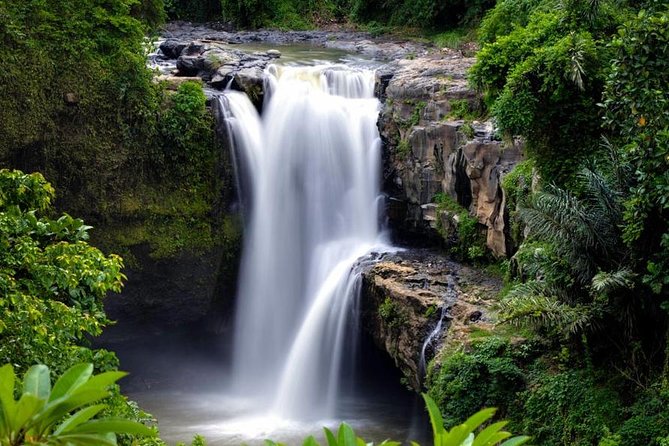 Skip-the-Line: Ubud Tour - All Inclusive Tickets - Sacred Monkey Forest Sanctuary: best visited with respect