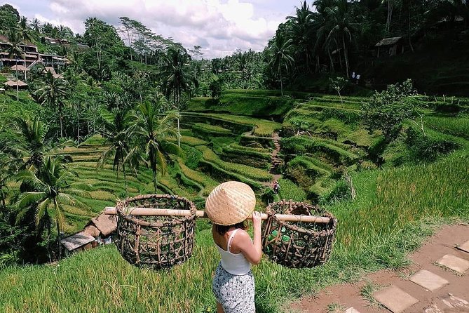 Skip-the-Line: Ubud Tour - All Inclusive Tickets - Price and value: where that $67 per person adds up