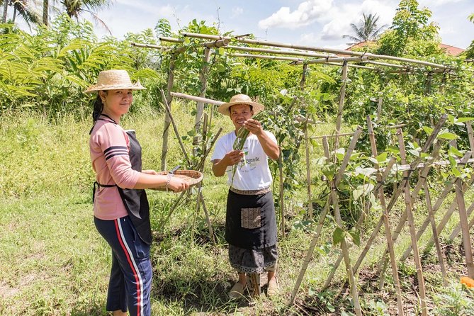 Small-Group Farm Tour & Balinese Cooking Class in Ubud with Kadek - The farm walk: where ingredients come from, and why it changes your cooking
