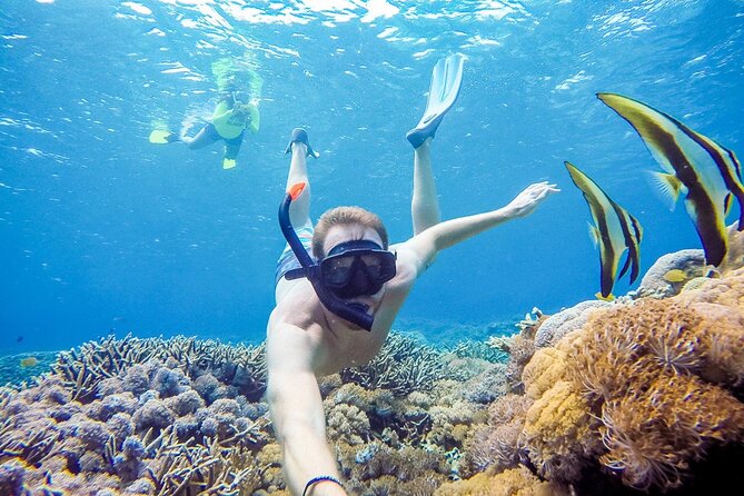 Snorkeling adventure to the manta ray habitat in Nusa Penida - Getting to Nusa Penida and finding the right place to start