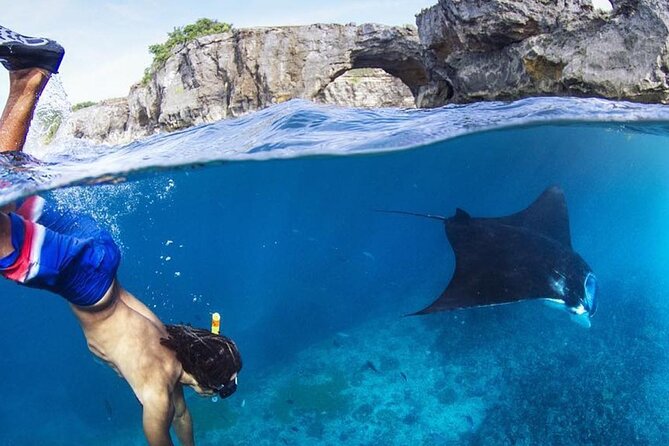 Snorkeling adventure to the manta ray habitat in Nusa Penida - The second stop at Gamat Bay, for calmer snorkeling and marine life