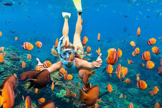Snorkeling adventure to the manta ray habitat in Nusa Penida - Boat tour pacing and why 3 hours can still feel like enough