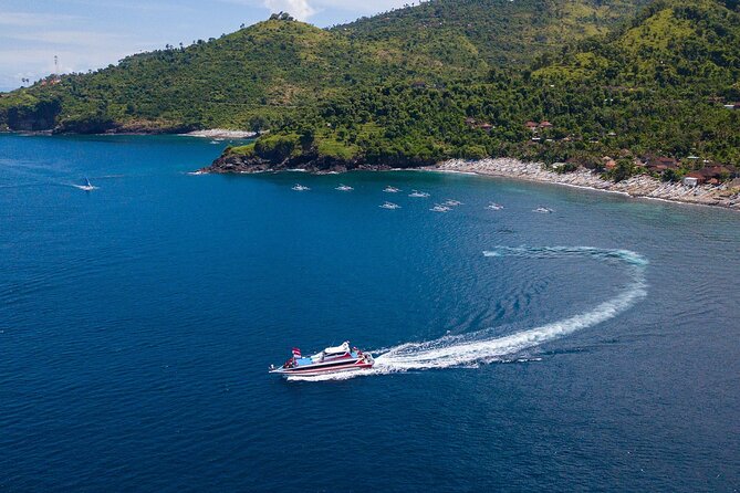 Snorkeling Adventure with East Nusa Penida Tour All Inclusive - Crystal Bay and Gamat Bay: the comfort zone for reef time