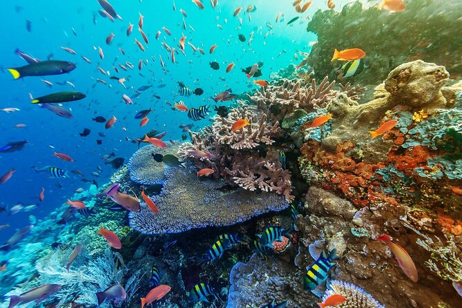 Snorkeling Adventure with East Nusa Penida Tour All Inclusive - The early fast boat start from Sanur to Toya Pakeh