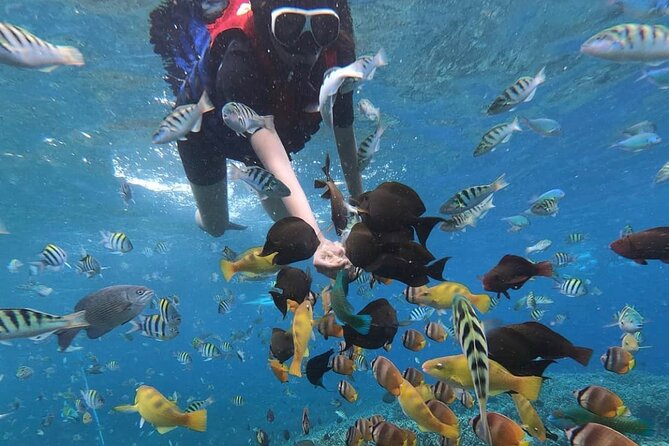 Snorkeling At Blue lagoon And Hidden waterfall - Kanto Lampo Waterfall Photos: A Short Forest Walk and Rock Climb