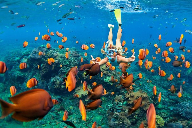 Snorkeling at Blue Lagoon Bali with Lunch and Transport - Key Points Before You Go