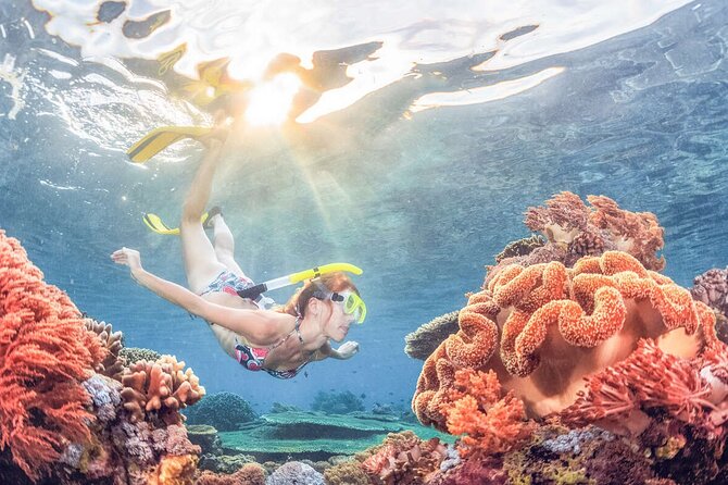 Snorkeling at Blue Lagoon Bali with Lunch and Transport - Blue Lagoon in Padangbai, and Why This Trip Works
