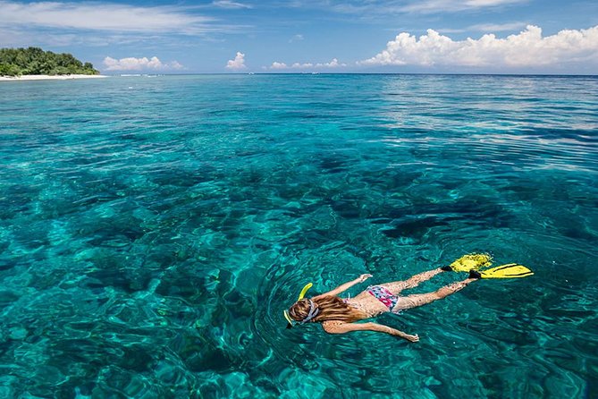 Snorkeling at Blue Lagoon Bali with Lunch and Transport - Traditional Boat Transfers, Timing, and Comfort Tips