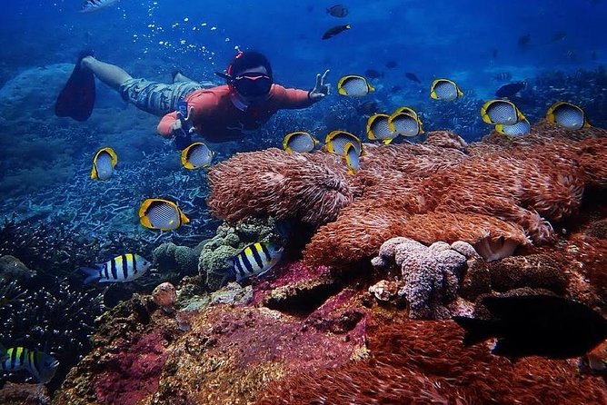 Snorkeling Day Trip To Lembongan and Penida - Why this Lembongan and Penida combo works for one full day