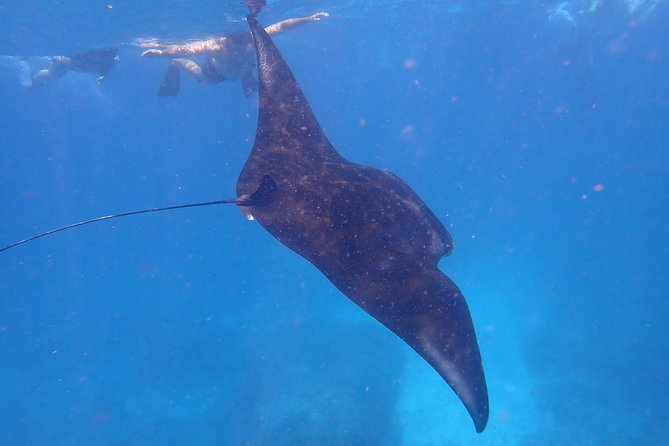Snorkeling Day Trip To Lembongan and Penida - Serangan and the Lembongan base: snacks, lockers, and a reality check