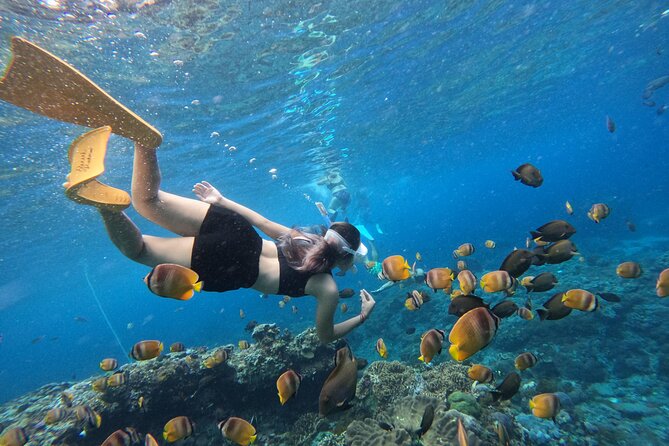 Snorkeling Day Trip To Lembongan and Penida - Price and logistics from Seminyak: how the day actually moves