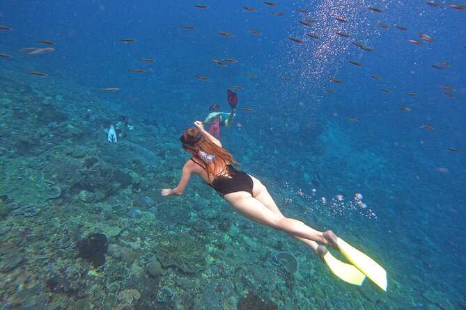 Snorkeling Day Trip to Nusa Lembongan and Nusa Penida - Why Nusa Lembongan and Nusa Penida Work in One Long Day