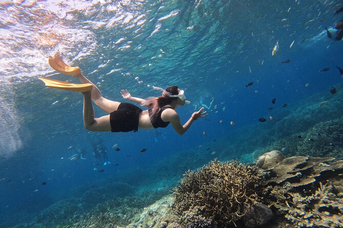 Snorkeling Day Trip to Nusa Lembongan and Nusa Penida - The Snorkeling Plan: Three Stops and Manta Bay When Conditions Are Right