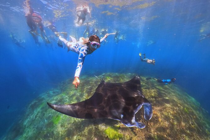 Snorkeling Day Trip to Nusa Lembongan and Nusa Penida - Reading the Water for Mantas, Turtles, Dolphins, and Clownfish
