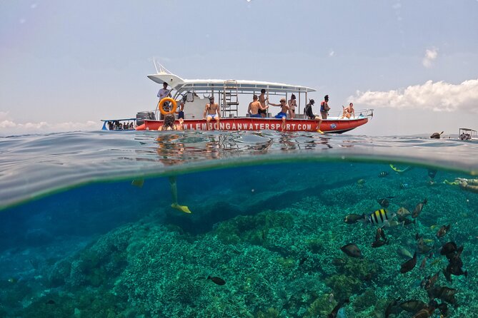 Snorkeling Day Trip to Nusa Lembongan and Nusa Penida - Kayaking or a Lembongan Tour, Then Back to Sanur