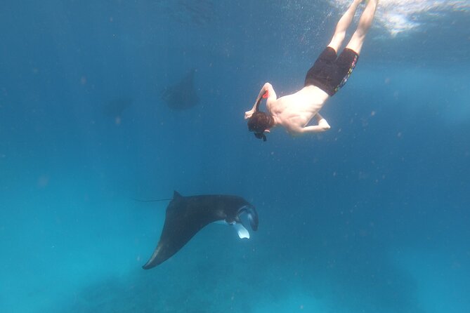 Snorkeling Day Trip to Nusa Lembongan and Nusa Penida - Price and Value at About $42.55: What You’re Really Paying For