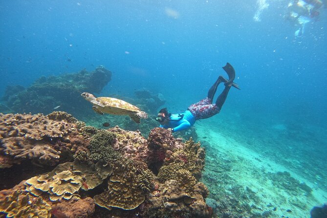 Snorkeling Day Trip to Nusa Lembongan and Nusa Penida - Who Should Book This Trip (and Who Should Skip It)
