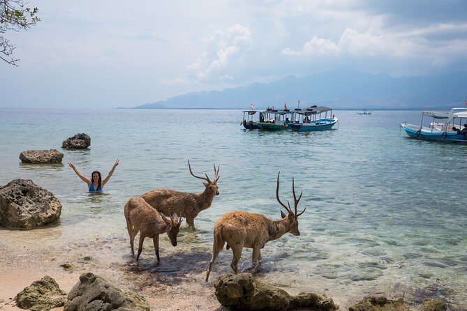 Snorkeling in Menjangan Island with Pickup and Lunch - Photos and video help: a small bonus that can mean a lot