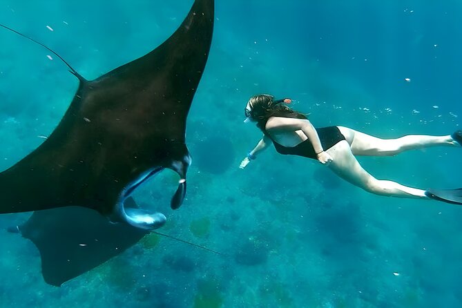 Snorkeling In Nusa Penida Departing From Bali Island - From Seminyak to Sanur Port: the day starts early, on purpose