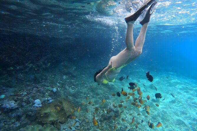 Snorkeling In Nusa Penida Departing From Bali Island - How the gear, life jacket, and GoPro photos actually help