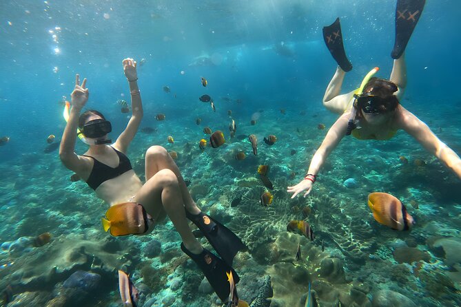 Snorkeling In Nusa Penida Departing From Bali Island - Facilities and comfort: the rustic-check-in reality