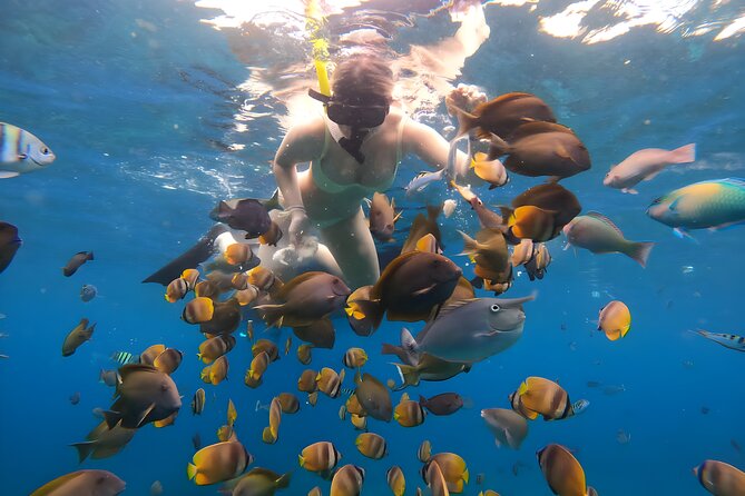 Snorkeling In Nusa Penida Departing From Bali Island - Who should book this Nusa Penida snorkeling tour