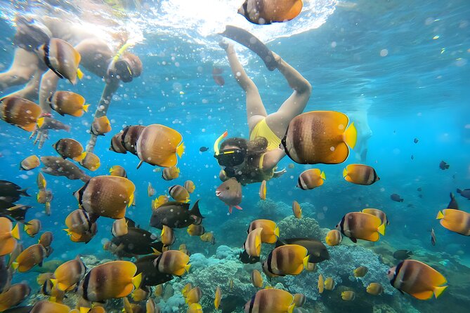 Snorkeling In Nusa Penida Departing From Bali Island - Crystal Bay, Wall Point, and Gamat Bay: what you’re really snorkeling for