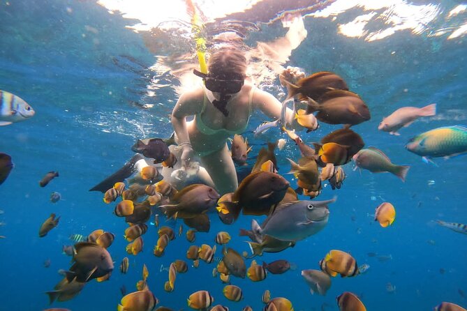 Snorkeling In Nusa Penida Island With Manta Ray From Bali - Seminyak Pickup and the Early-Start Reality
