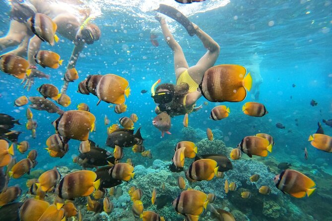 Snorkeling In Nusa Penida Island With Manta Ray From Bali - Stop 1: Gamat Bay, Where Your Swim Stops Getting Real