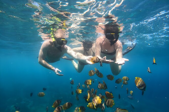 Snorkeling In Nusa Penida Island With Manta Ray From Bali - Stop 2: Wall Point and Crystal Bay, The Variety Play