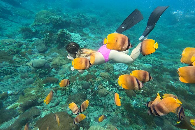 Snorkeling In Nusa Penida Island With Manta Ray From Bali - Stop 3: Manta Bay and the Ray-Luck Factor