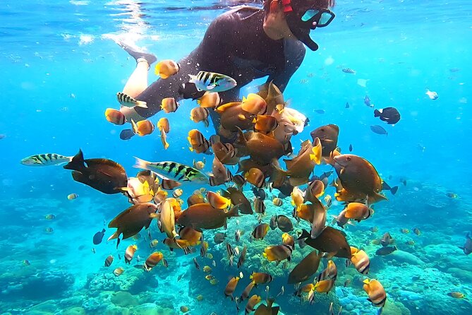 Snorkeling In Nusa Penida Island With Manta Ray From Bali - Lunch, Drinks, and Budgeting the Rest of Your Day