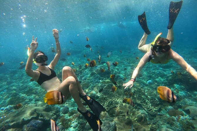 Snorkeling In Nusa Penida Island With Manta Ray From Bali - Sanur Port Check-In and the Speedboat Crossings