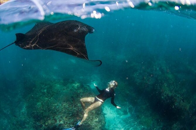 Snorkeling Manta Ray in Nusa Lembongan - Hot Spots Based on Waves and Currents: Where You’ll Go