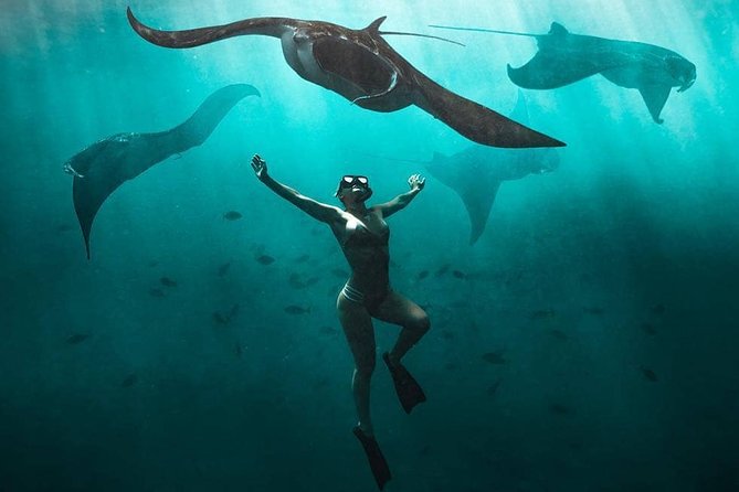 Snorkeling Manta Ray Safari in Nusa Penida - Key Highlights to Know Before You Go