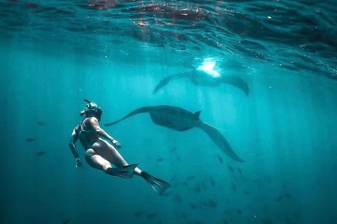 Snorkeling Manta Ray Safari in Nusa Penida - Underwater Photos, Videos, and What You Leave With