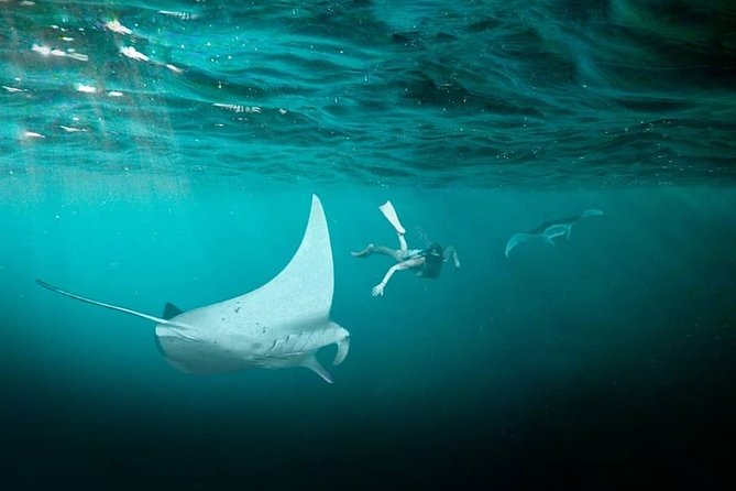 Snorkeling Manta Ray Safari in Nusa Penida - Crowds, Comfort, and Boat Reality on Penida