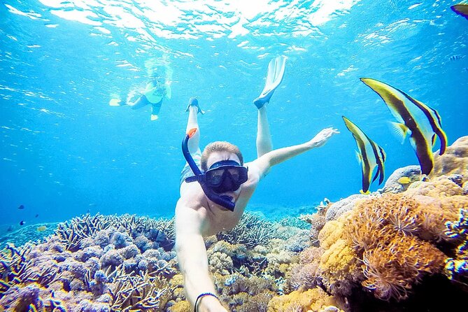 Snorkeling Nusa Penida and Island Tour Package - Fast boat first, then Penida’s big views
