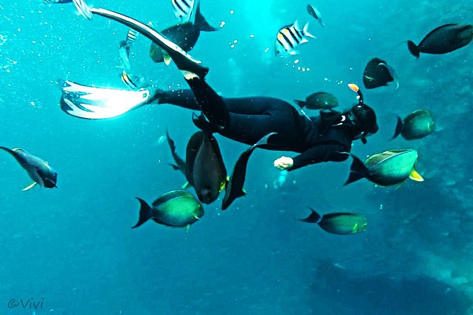 Snorkeling Package at Tulamben Liberty Shipwreck - USS Liberty Wreck snorkeling, what makes it worth the trip