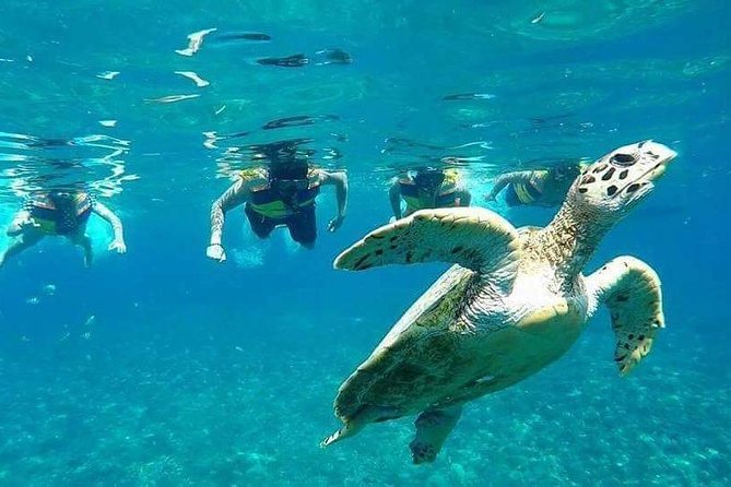 Snorkeling Tour In Gili Islands Pick Up From Lombok Or Gili - Why the glass-bottom boat makes this tour feel easier