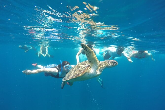 Snorkeling Tour In Gili Islands Pick Up From Lombok Or Gili - Gili Air snorkeling: calmer water time after two busy stops