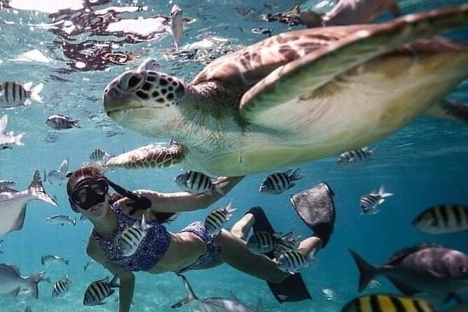 Snorkeling Tour In Gili Islands Pick Up From Lombok Or Gili - The guide factor, Menti and what it means for your experience