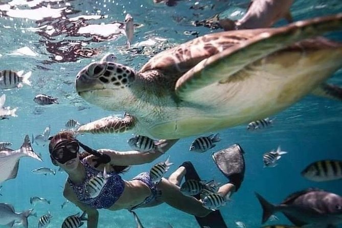 Snorkeling Tour In Gili Trawangan, Gili Meno And Gili Air Pick Up From Bali - Gili Trawangan Turtle Spot: where the day starts