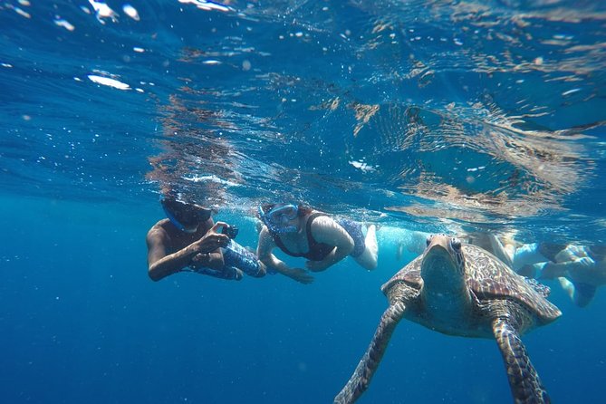 Snorkeling Tour In Gili Trawangan, Gili Meno And Gili Air Pick Up From Bali - Timing, crowding, and how to plan your expectations