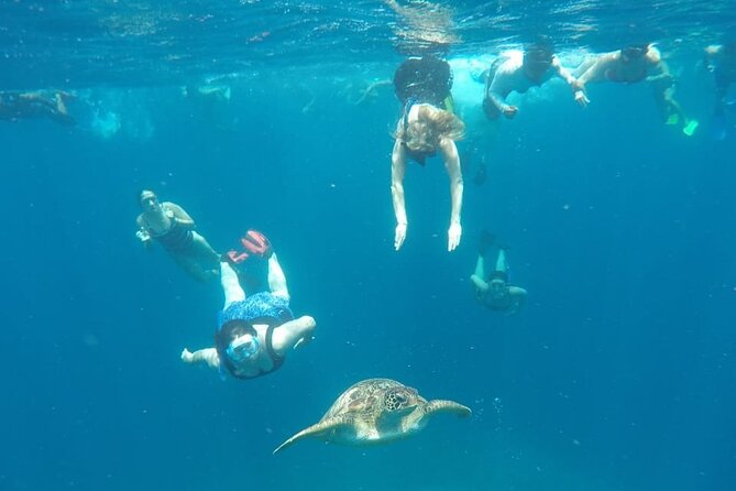 Snorkeling Tour In Gili Trawangan, Gili Meno And Gili Air Pick Up From Bali - Who this snorkeling tour suits best