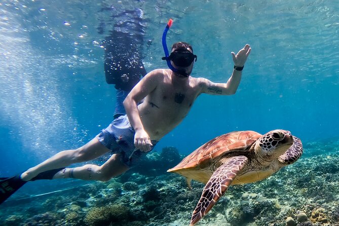 Snorkeling with turtle and statue in Gilis - The Statue Snorkel Zone: Great Photos, Real Crowds