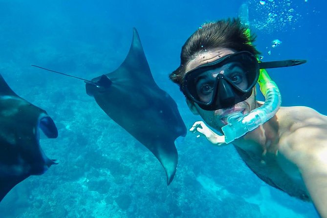 Snorkelling in Nusa Penida - Manta Point - Why this Nusa Penida plan feels better than a rushed reef hit