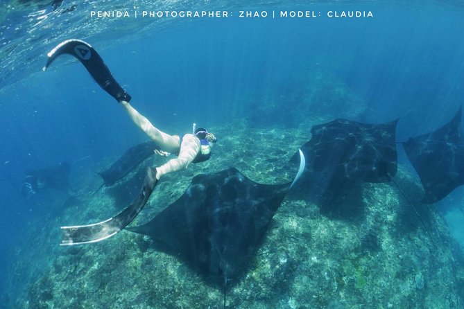 Snorkelling in Nusa Penida - Manta Point - What you get, what you pay extra, and what to bring