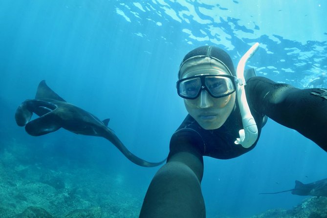 Snorkelling in Nusa Penida - Manta Point - Manta Point and Crystal Bay: what you are actually chasing